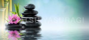 Shiatsu Magazine. Revista de Shiatsu