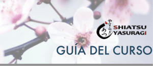 Lifting Facial Japones Curso, Masaje Facial Japones Curso