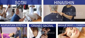 seminarios shiatsu escuela