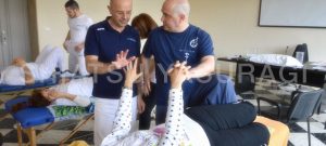 sotai curso