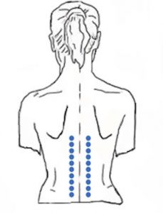 Shiatsu Curso en Silla Toracolumbar 2
