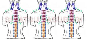 Shiatsu Curso en Silla