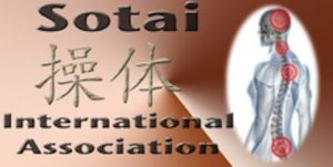 Sotai Curso Internacional. Asociación de sotai