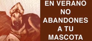 En verano no abandones a tu mascota