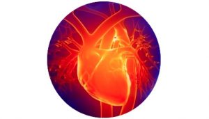 Corazon Sano