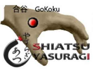 Acupuntura Puntos Superiores Gokoku 4IG