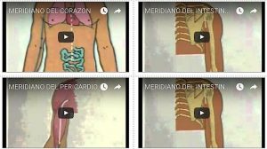 Meridianos Acupuntura Videos