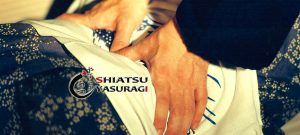 Shiatsu en Madrid