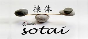 Sotai Reeducacion Postural Integral