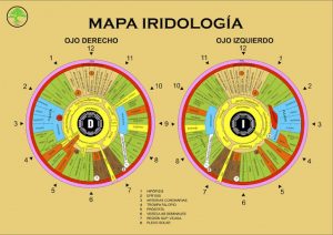 Iridiologia Curso