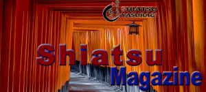 Shiatsu Magazine Febrero 2018