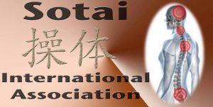 Sotai Asociacion Internacional
