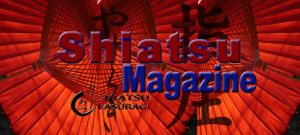 Shiatsu Magazine Noviembre 2018