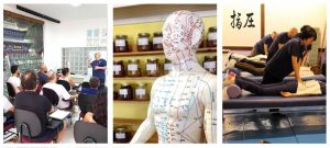 Shiatsu Curso Intensivo