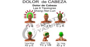 Shiatsu Magazine Dolor de Cabeza 6 Tipologias
