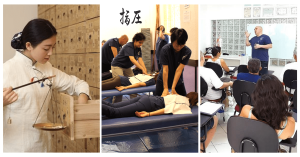 shiatsu curso intensivo