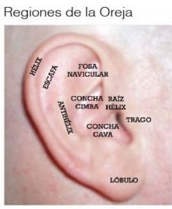Perder Peso con Puntos en la Oreja