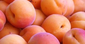 Albaricoque Fruta de Verano