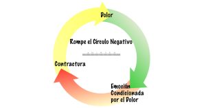 Equilibrio Cuerpo Mente